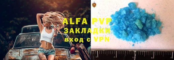 стафф Каменск-Шахтинский