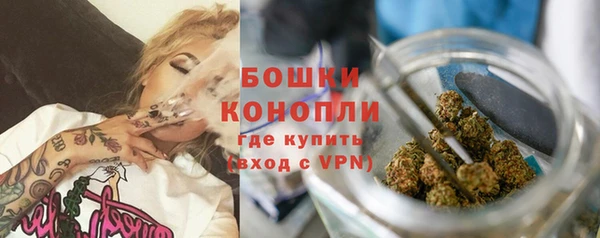 PSILOCYBIN Горняк