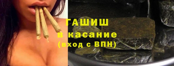 PSILOCYBIN Горняк