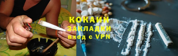 PSILOCYBIN Горняк