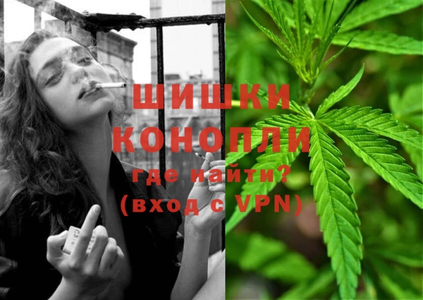 PSILOCYBIN Горняк