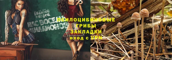 мдпв Каменка