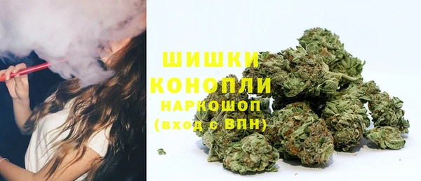 PSILOCYBIN Горняк