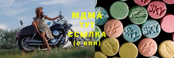 мдпв Каменка