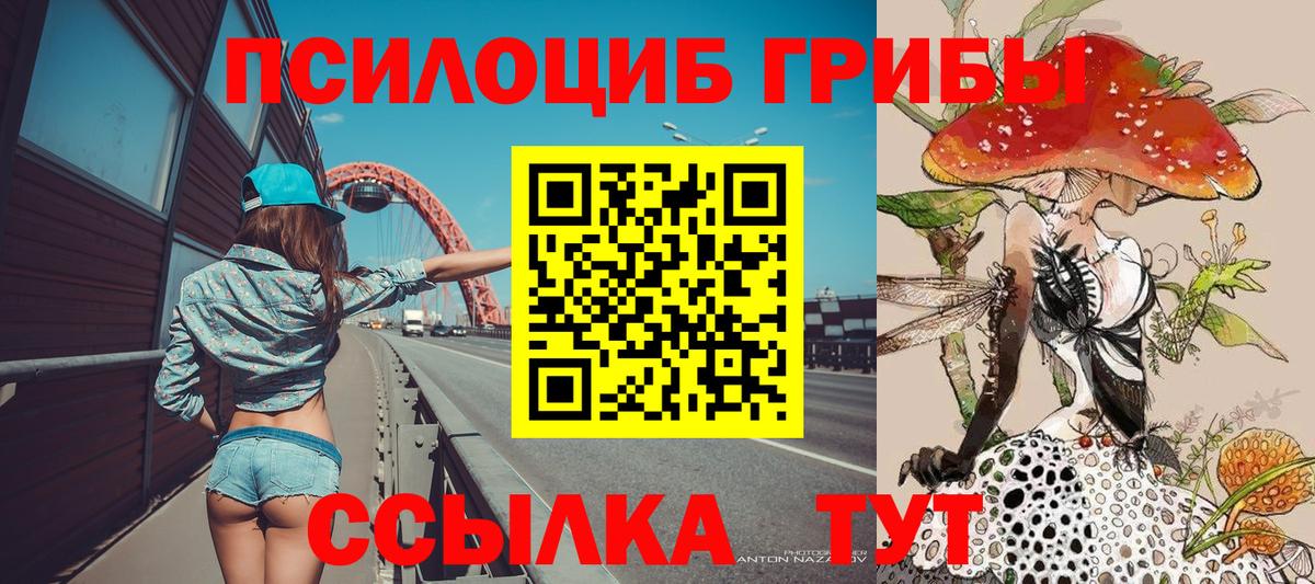 Галлюциногенные грибы Psilocybe Минеральные Воды