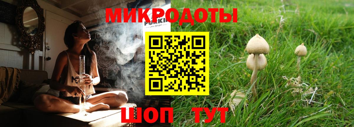 Псилоцибиновые грибы Psilocybe  Вход с VPN  Минеральные Воды  Галлюциногенные грибы Psilocybine cubensis 